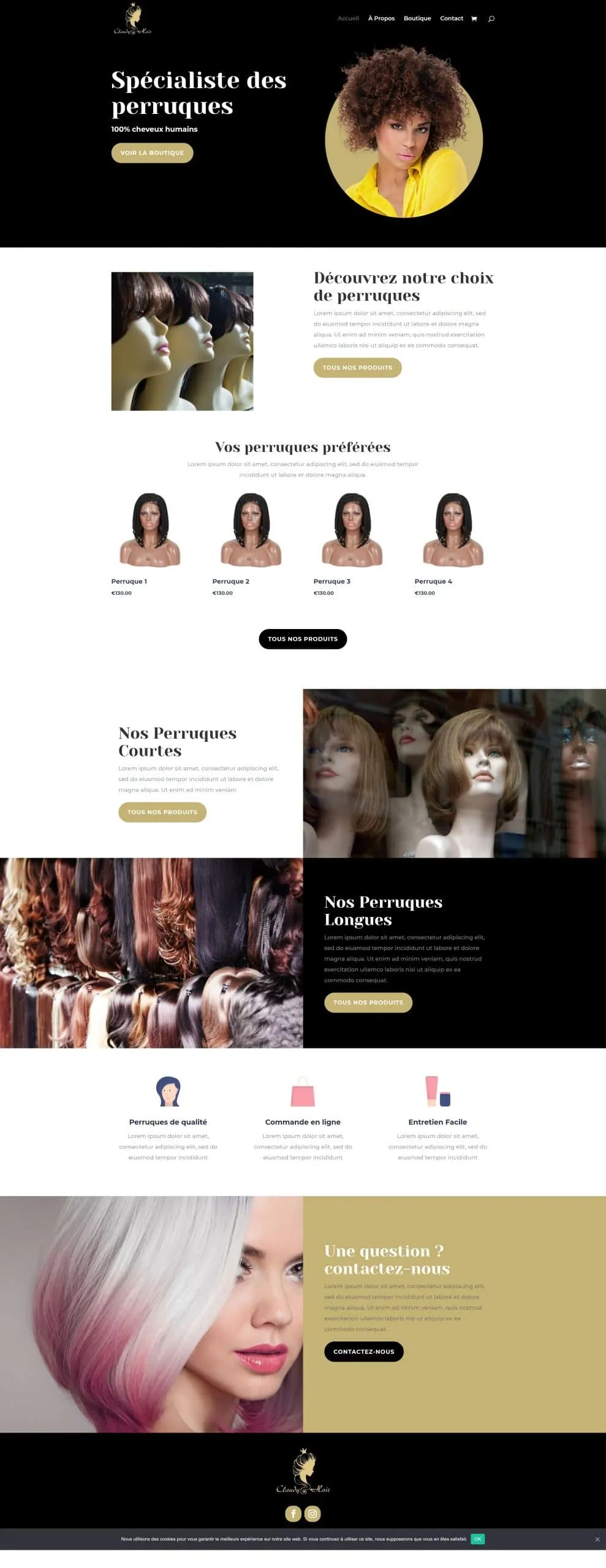 Site web réalisé : Claudine Hoflack